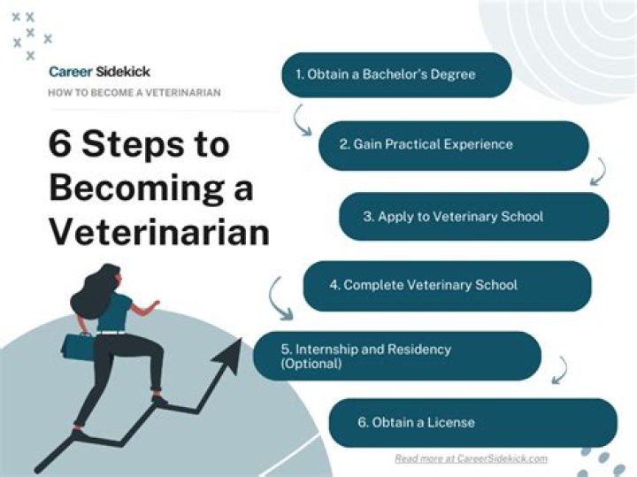 What qualifications do I need to work in a pet shop?