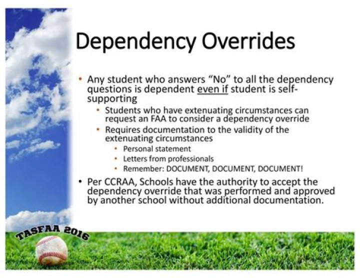 What qualifies as a dependency override?