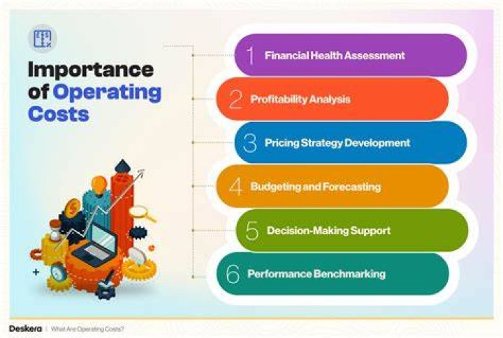 What qualifies as organizational costs?