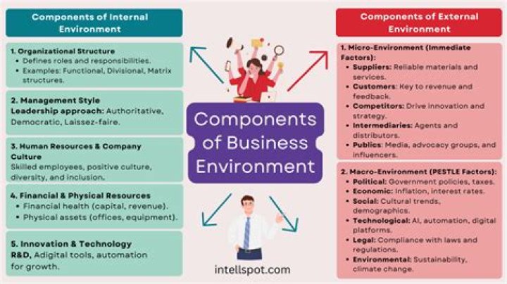 What relationship do you see between the business environment and business?