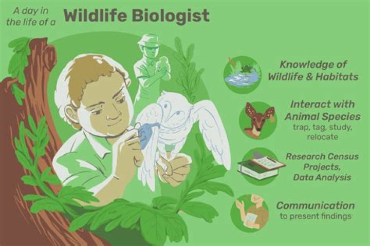 What responsibilities do wildlife biologists have?
