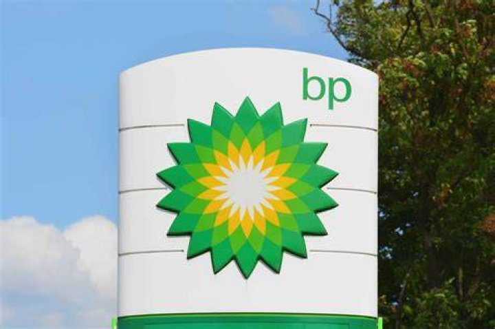 What sector is BP?