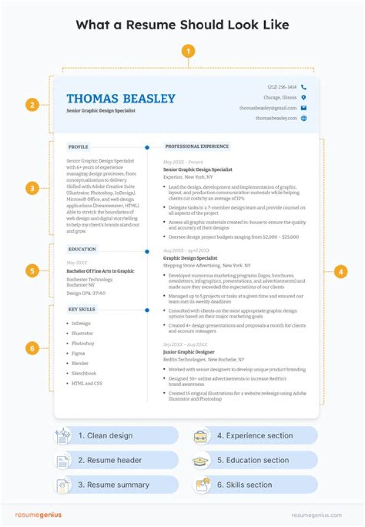What should a resume look like format?