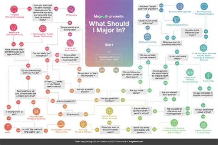 What should I major in if I want to be a quant?