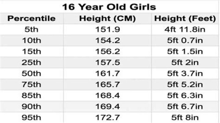 What size should a 16 year old be in clothes?