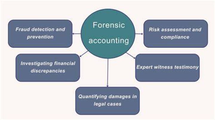 What technology do forensic accountants use?