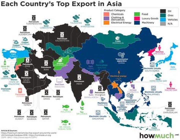 What things Pakistan export to other countries?
