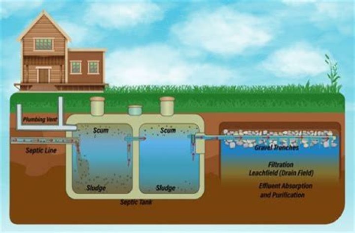 What to do if septic tank is overflowing?