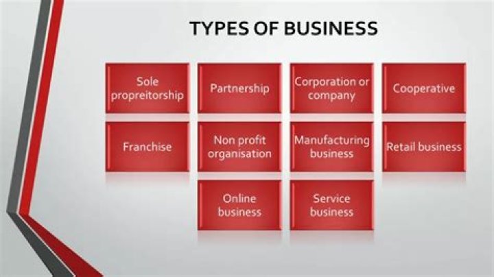 What type of business is a TV station?