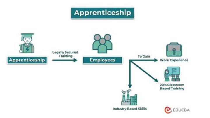 What type of careers typically have apprenticeship programs?