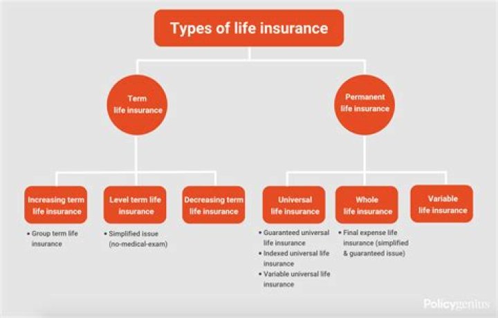 What type of insurance do most people have?