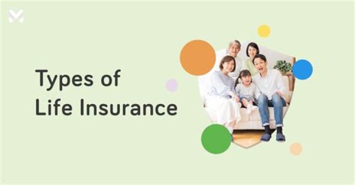 What type of life insurance is paid weekly?