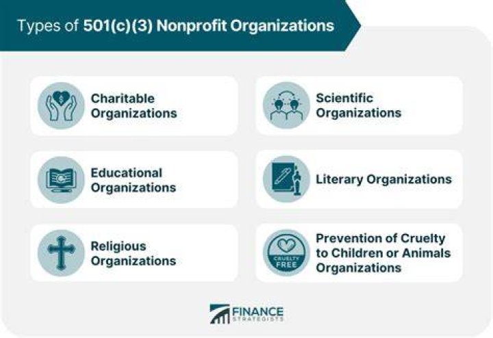 What type of organizations are 501 C 3?