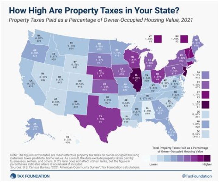 What type of services do local property taxes typically fund?
