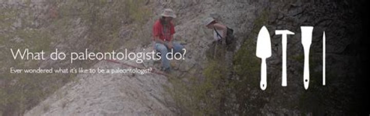 What type of work do paleontologists do?