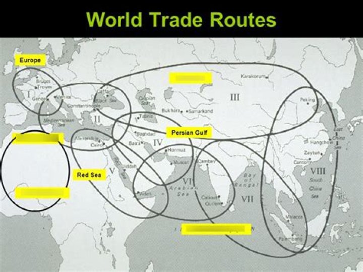 What types of goods were carried along the trade routes?
