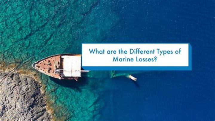 What types of losses can be covered by insurance?