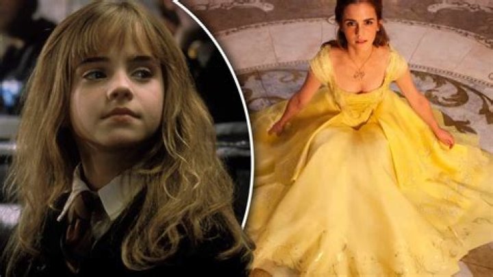 What was Hermione job?