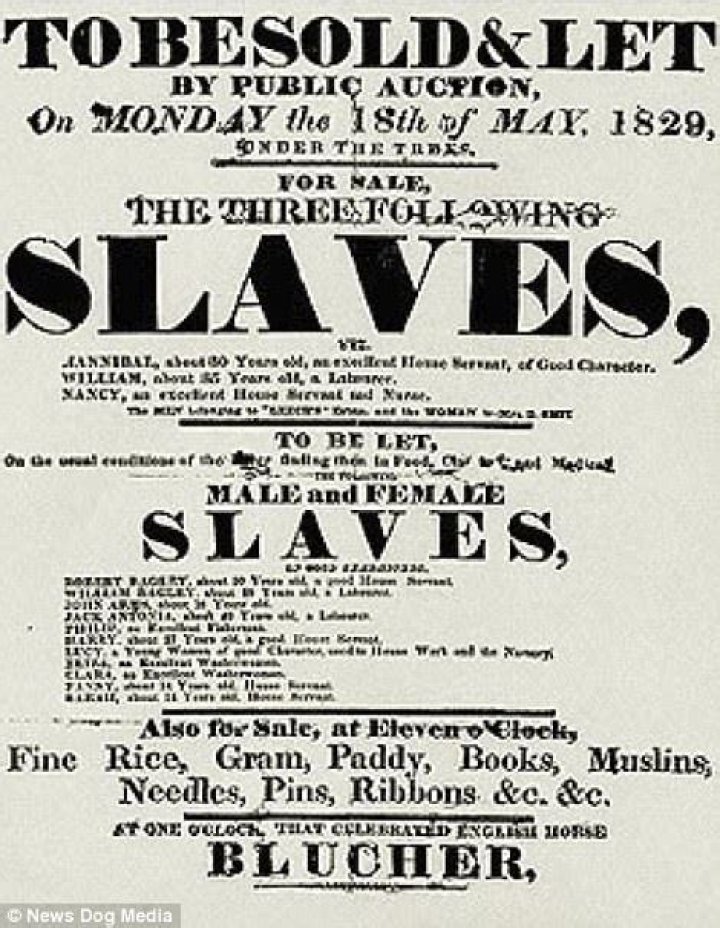 What was sold at slave auctions?