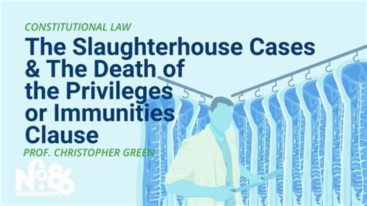 What was the outcome of the Slaughterhouse cases?
