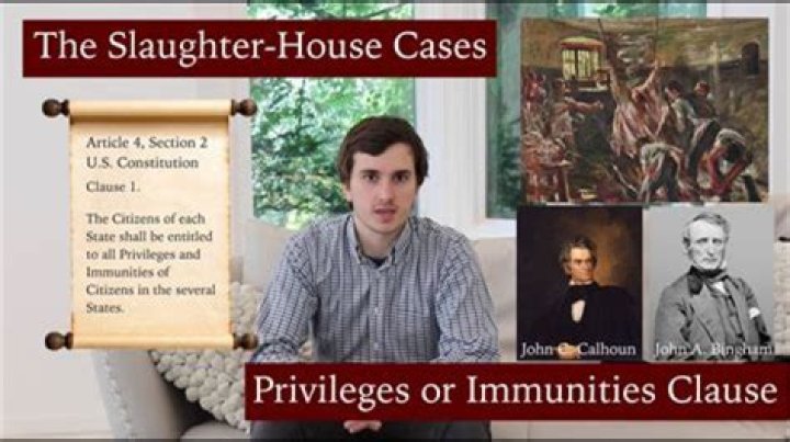 What was the problem with the Slaughterhouse cases?