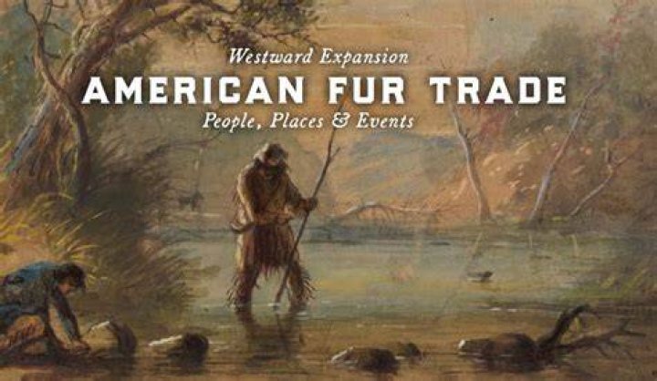 What was the purpose of the fur trade?