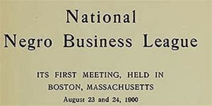 What were some of the accomplishments of the National Negro Business League?