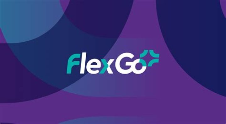 When did flex go public?
