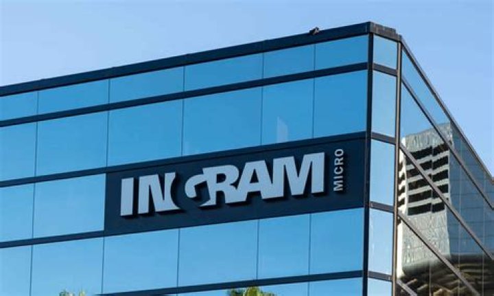 When did Ingram Micro go public?