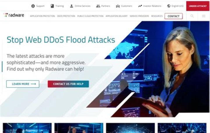 When did Radware go public?