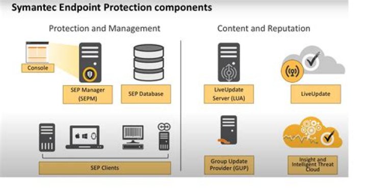 When did Symantec go public?