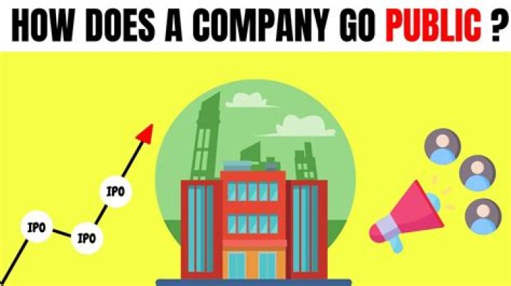 When did the first company go public?