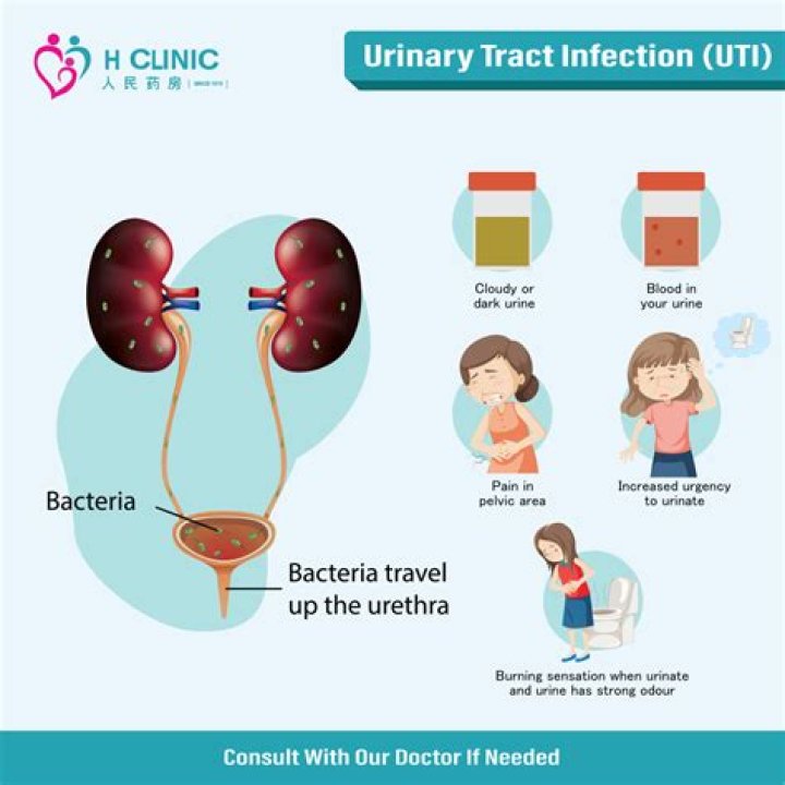 When did UTI Go Public?