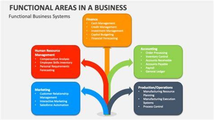 When large firms are divided into smaller units or departments it is called as?
