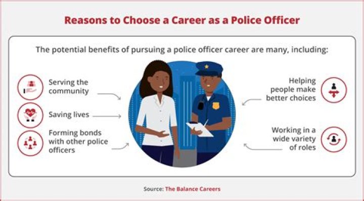 Where can custom officers work?