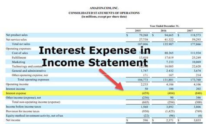 Where does loan interest go on income statement?