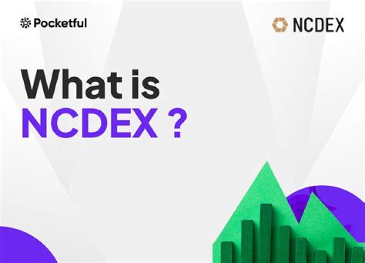 Where is NCDEX located?