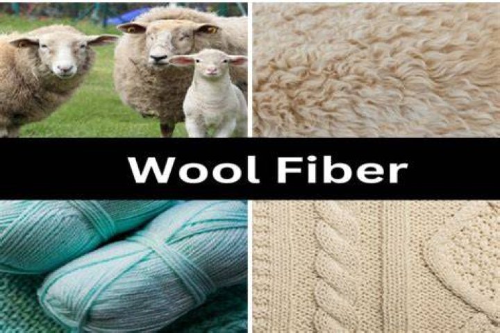 Where is wool imported from?