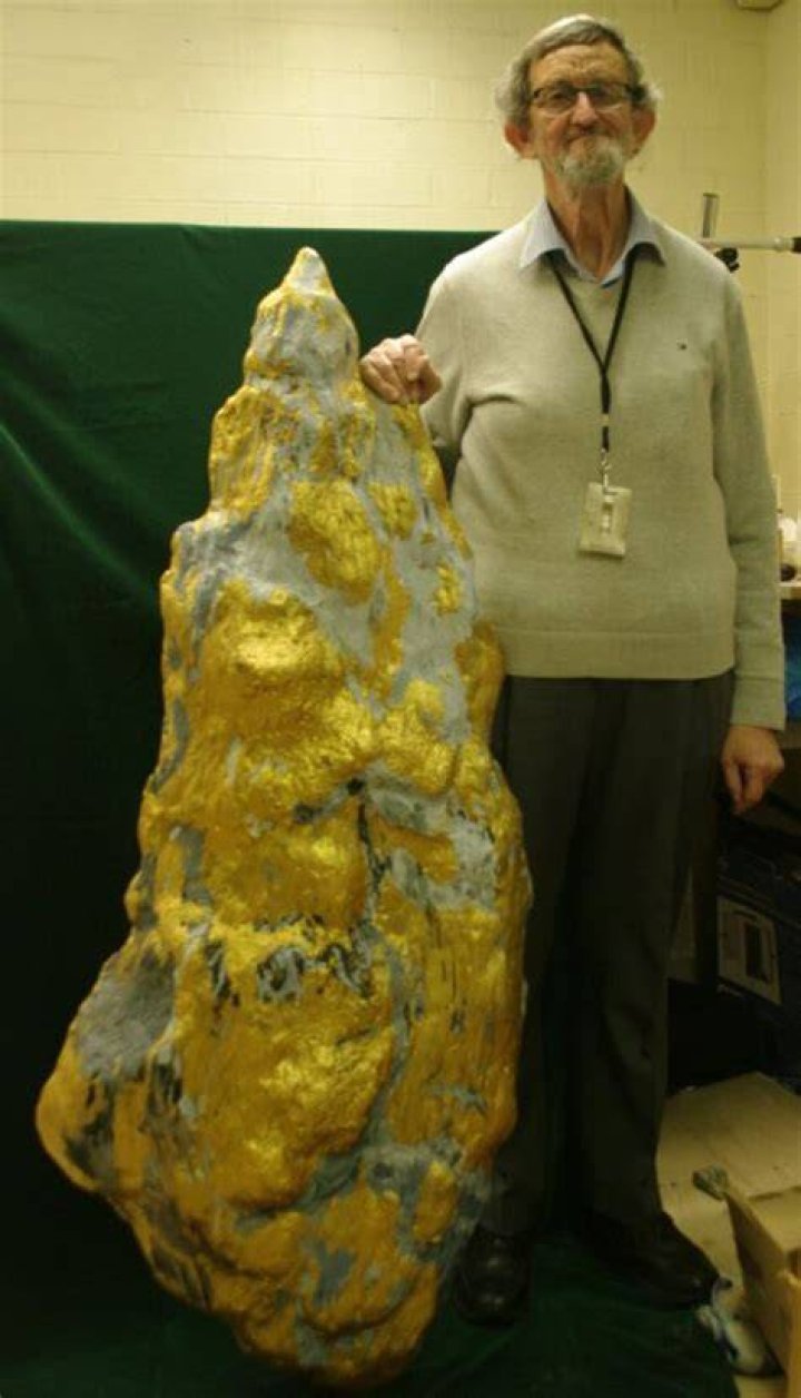 Where was the first nugget of gold found?