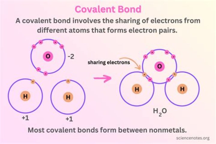 Which bonds give the highest return?