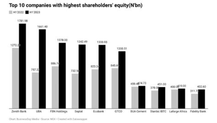 Which company has the most shareholders?