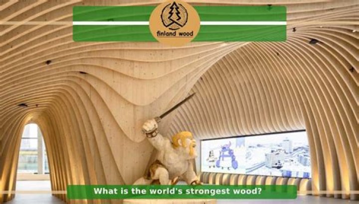 Which country has the strongest wood products industry?