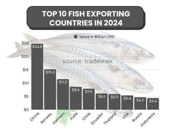 Which country is biggest exporter of fish?