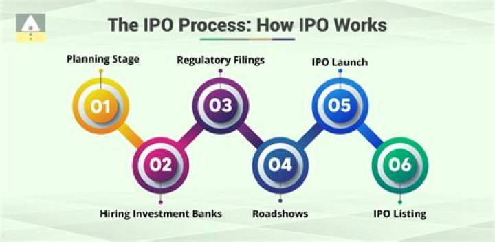 Which does a company do in an initial public offering IPO Brainly?
