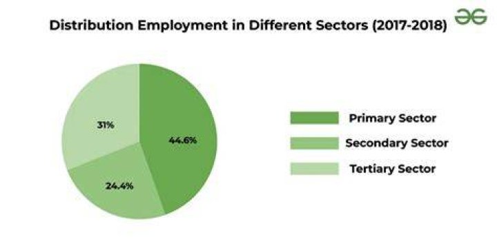 Which industry sector do most Canadians work in?