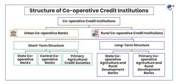 Which institute refinance to primary cooperative banks?