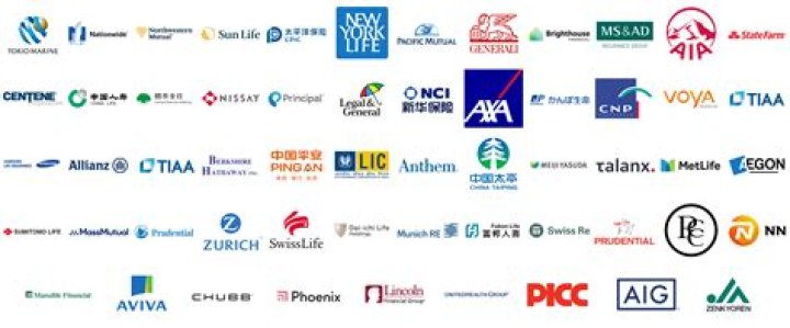 Which insurance company is most reliable?