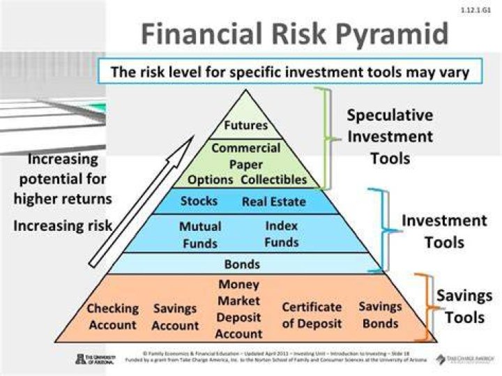 Which is an example of a high-risk investment Brainly?