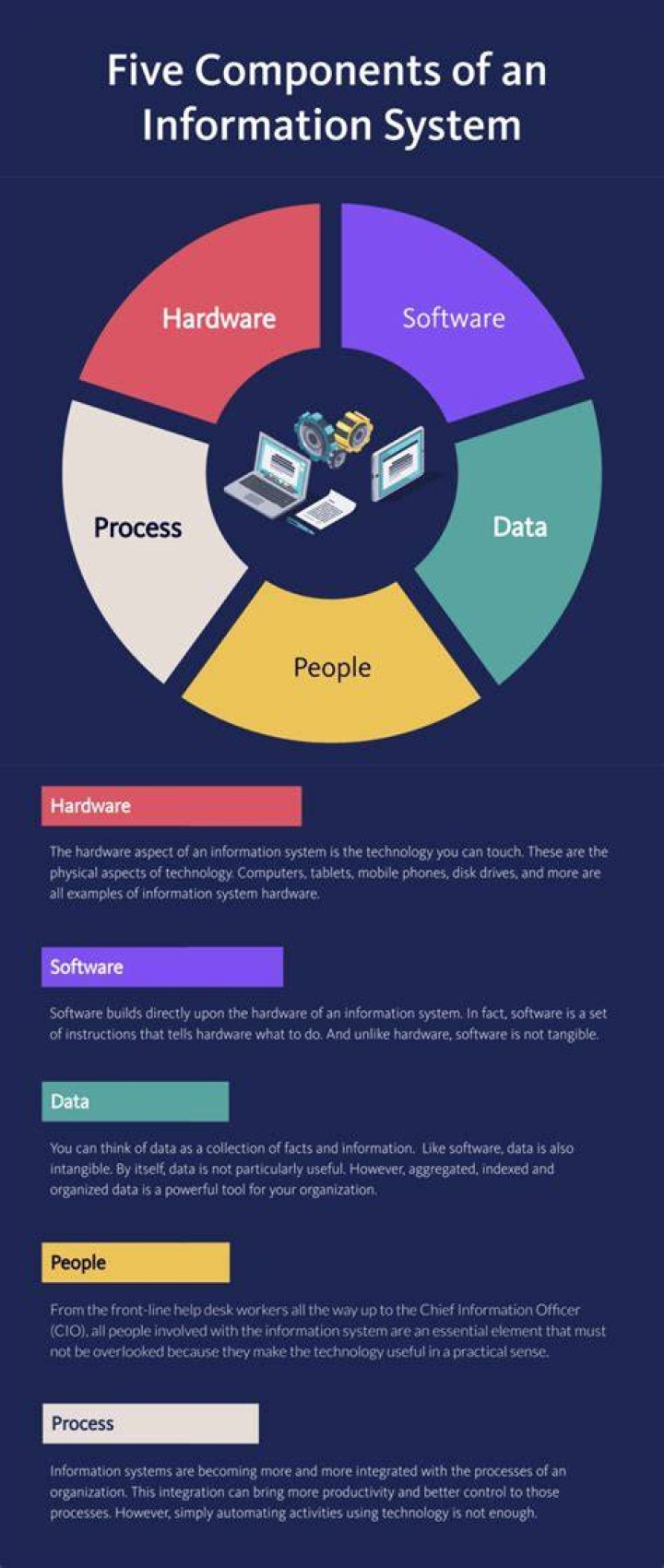Which is the most important component of information system?