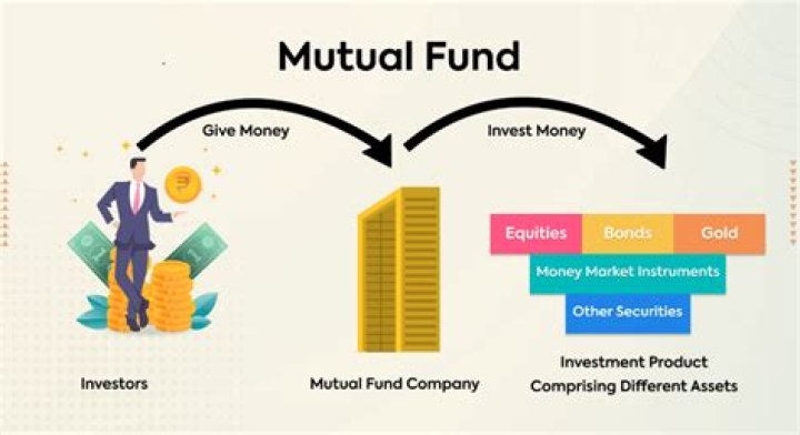 Which mutual fund gives insurance?